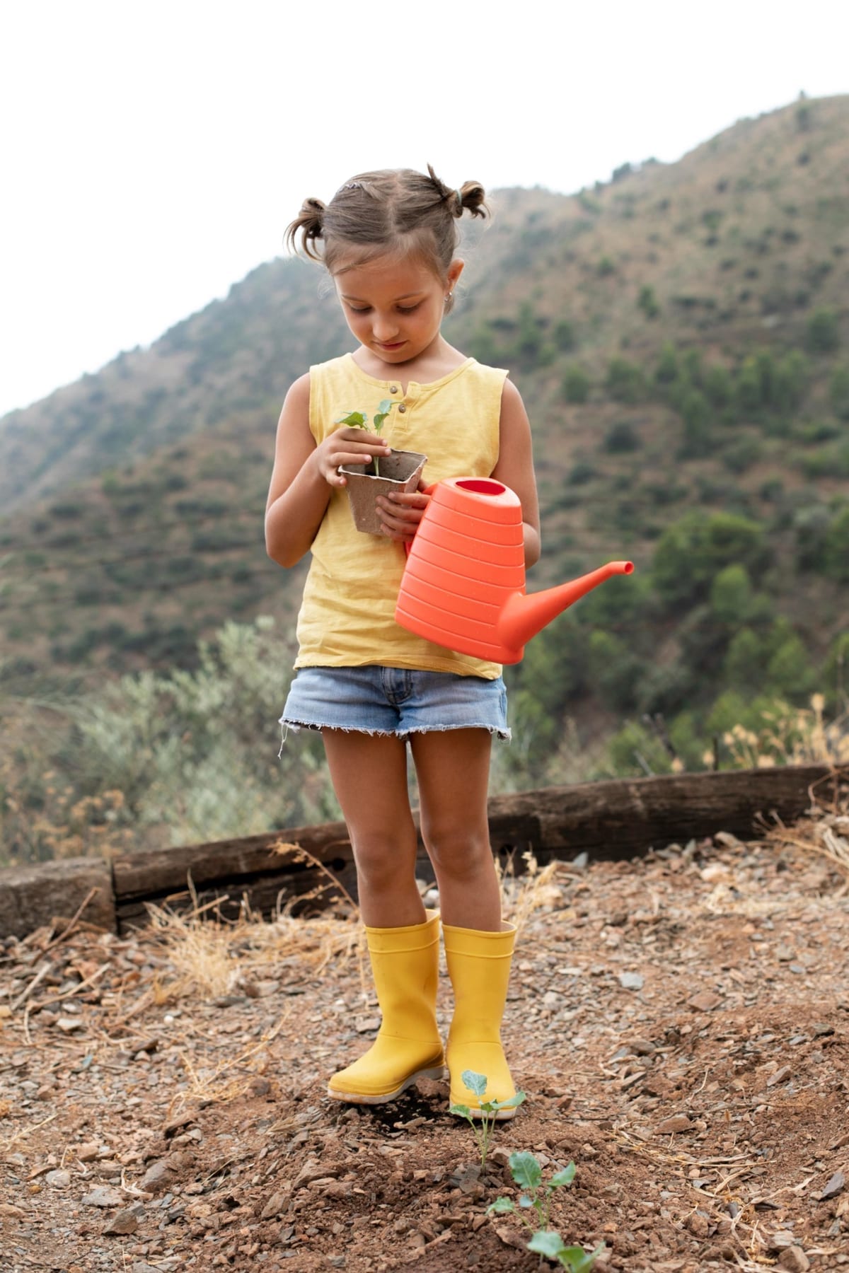 Una niña observa y cuida una planta pequeña